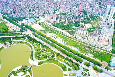 Cận cảnh tuyến đường Hà Nội dự kiến chặt hạ hơn 1300 cây xanh