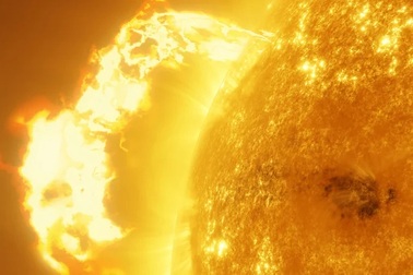 Bí mật bão Mặt Trời mạnh nhất lịch sử ẩn giấu trong thân cây cổ thụ