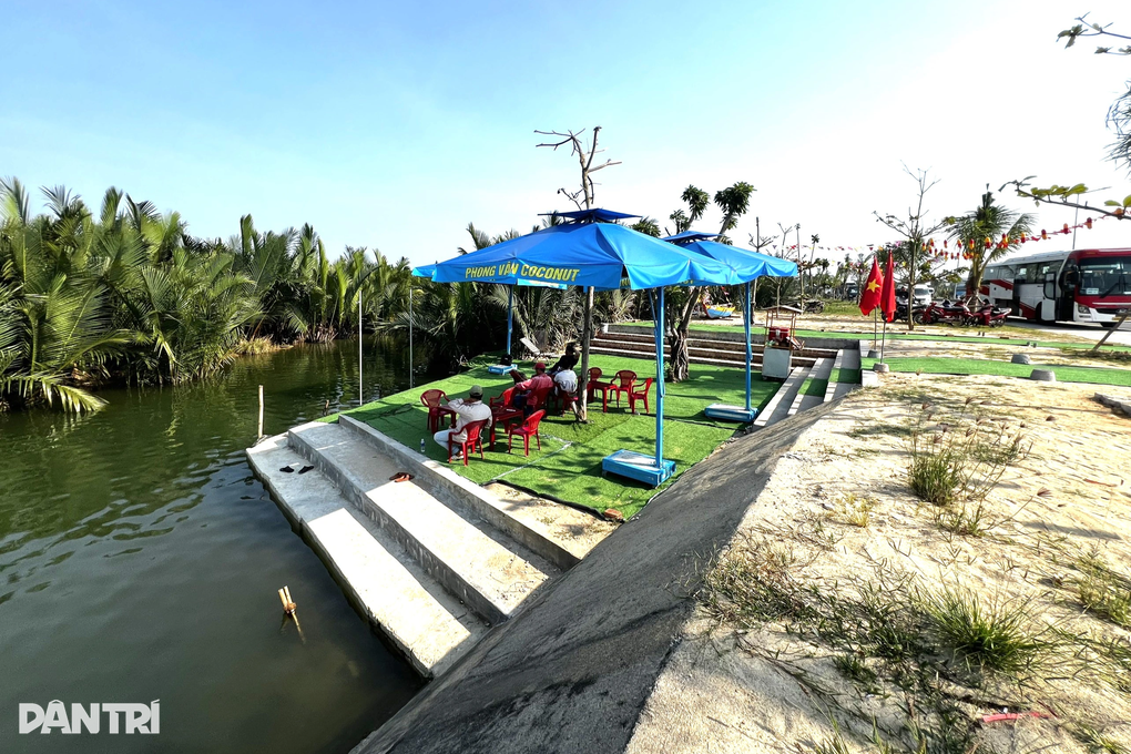 Xam-lan-trai-phep-rung-dua-bay-mau-hoi-an_congbinh 4 Xam-lan-trai-phep-rung-dua-bay-mau-hoi-an_congbinh 4