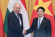 Tạo đột phá quan hệ Đối tác Toàn diện Việt Nam - Hungary