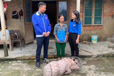 Thành đoàn Hà Nội tặng con giống, sửa nhà giúp đồng bào miền Trung sau lũ