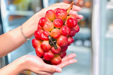 Nhà giàu Việt "phát sốt" với nho Nhật hình trái tim giá 2 triệu đồng/kg