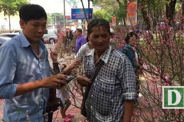 Người buôn hoa quyết đập bỏ chứ không bán rẻ