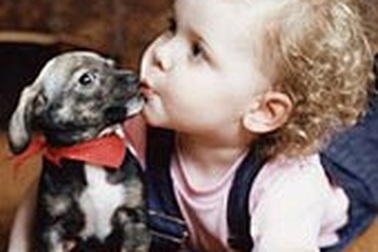 Trẻ bị hen - hãy tránh xa lông thú vật