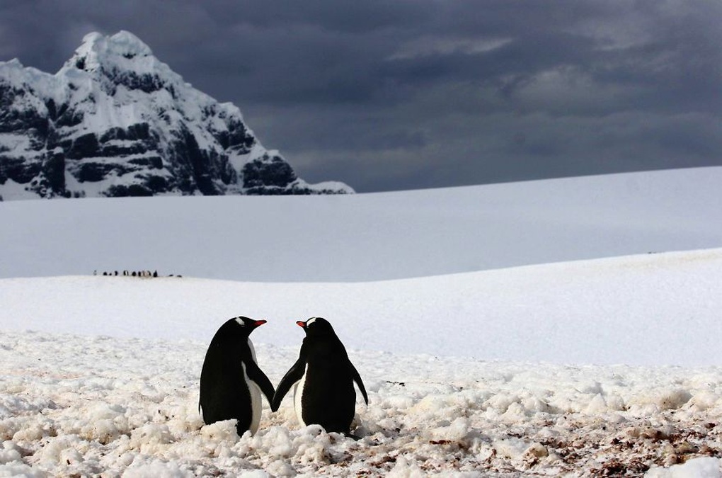 Hold hands and walk together.