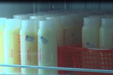 Đề xuất BHYT chi trả cho sữa mẹ hiến tặng thanh trùng