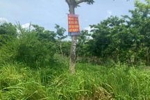 Sẽ kiến nghị trình thu hồi 29 dự án với hơn 1.800 ha đất ở Hà Nội