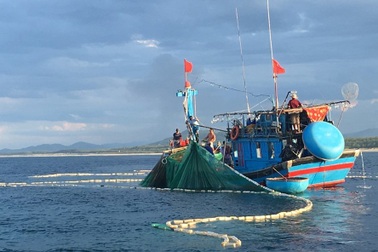 Phóng sự: “Săn” cá trên biển đêm