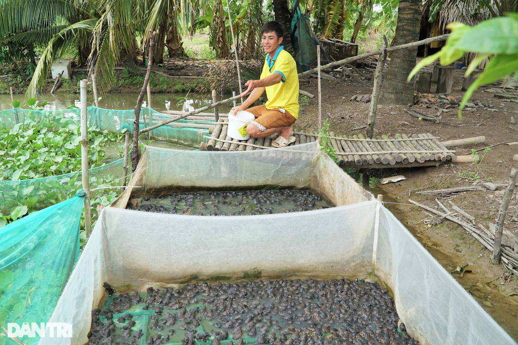 Nuôi loài cá xấu xí, lạ nhất hành tinh, leo cây thoăn thoắt làm... thú cưng - 8 Nuôi loài cá xấu xí, lạ nhất hành tinh, leo cây thoăn thoắt làm... thú cưng - 8