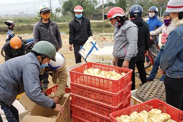 Hỗ trợ 37.000 con gà giống giúp người dân vùng lũ tái thiết cuộc sống