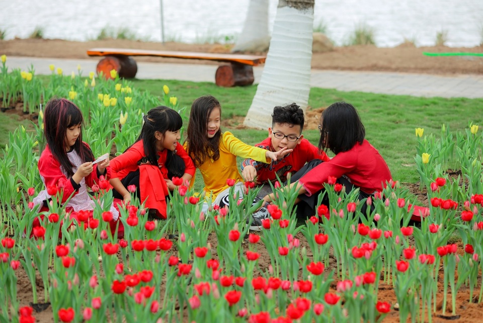Thành phố Hải Dương lần đầu tiên có lễ hội ngàn hoa - 3 Thành phố Hải Dương lần đầu tiên có lễ hội ngàn hoa - 3