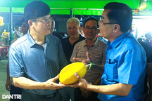 Chàng thanh niên bắt ruộng khô bạc màu "đẻ" ra tiền