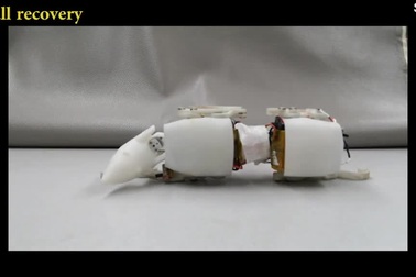 Chuột robot trình diễn khả năng "độc nhất vô nhị"