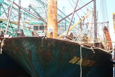 Vụ tàu cá vỏ thép: Yêu cầu xử nghiêm vi phạm của tập thể, cá nhân