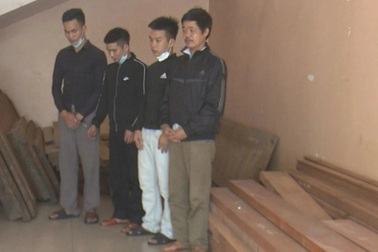 Nhóm "siêu trộm" chuyên lợi dụng đêm khuya để lấy cắp gỗ quý