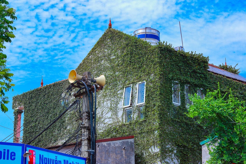 Sững sờ trước ngôi nhà phố được “ngụy trang” bằng dây leo ở Hà Nội - 1 Sững sờ trước ngôi nhà phố được “ngụy trang” bằng dây leo ở Hà Nội - 1
