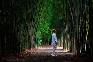 Hành trình tìm về vẻ đẹp hoang sơ nơi phố núi Buôn Ma Thuột