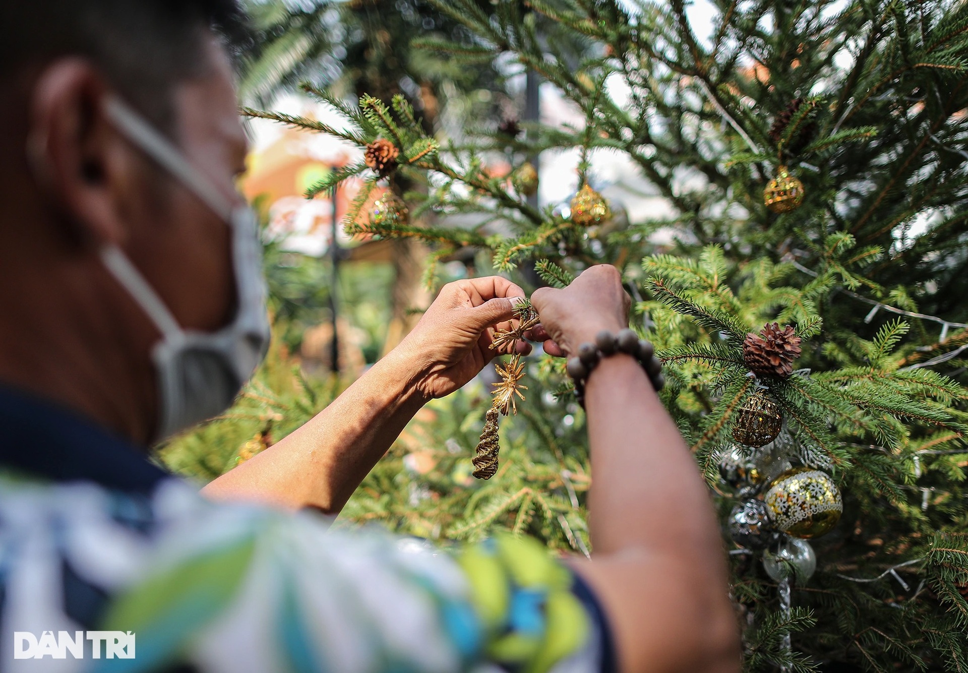 Cây thông Noel nhập khẩu xứ lạnh châu Âu bày bán khắp vỉa hè Sài Gòn - 7 Cây thông Noel nhập khẩu xứ lạnh châu Âu bày bán khắp vỉa hè Sài Gòn - 7