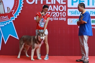 Cô, cậu chủ nhỏ và… cún