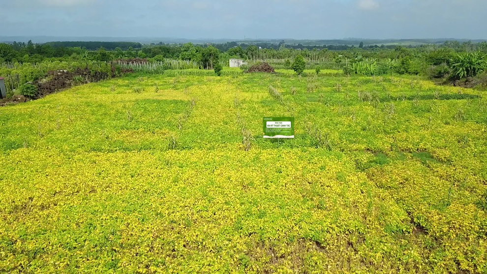 Sữa đậu nành Việt và hành trình 24 năm vươn tầm thế giới - 3 Sữa đậu nành Việt và hành trình 24 năm vươn tầm thế giới - 3