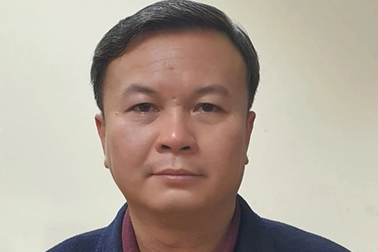 Cựu Chủ tịch công ty cây xanh Hà Nội bị cáo buộc chỉ đạo nâng khống giá cây