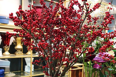 Đại gia Việt chi vài chục triệu đồng rước hoa ngoại về chơi Tết