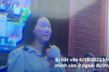 Bị cáo Trương Mỹ Lan lên bục khai báo đầu tiên