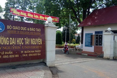 Trường ĐH Tây Nguyên: Ngành Y khoa có điểm xét tuyển đại học cao nhất với 19 điểm