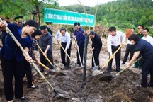 Quảng Bình: Trồng 100 cây hoa Ban trên khu mộ Đại tướng Võ Nguyên Giáp