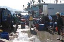 Di dời cảng cá và nỗi lòng lao động nghèo!