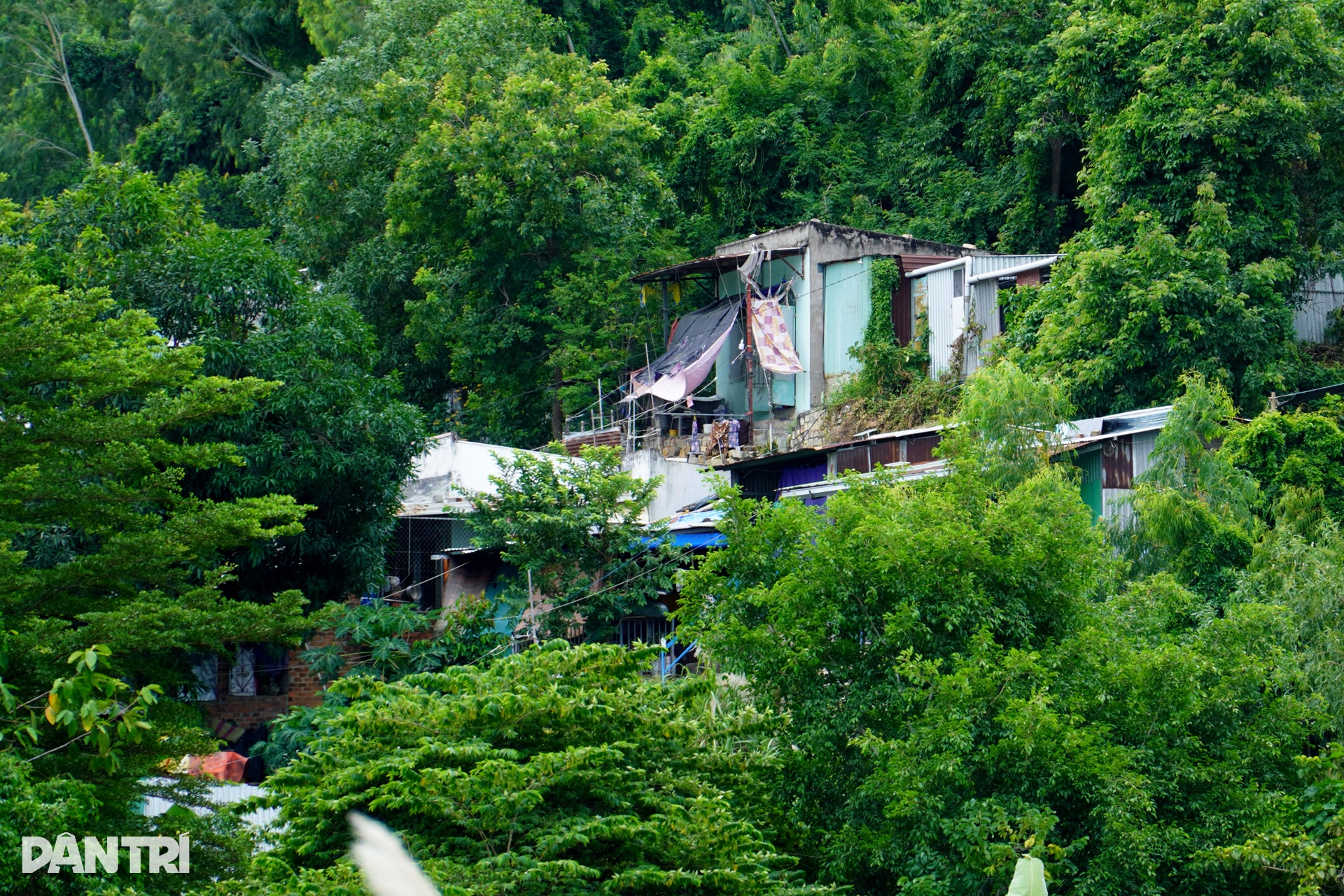 Sơ tán khẩn cấp hàng trăm hộ dân xóm Núi, nơi từng sạt lở làm 11 người chết - 2