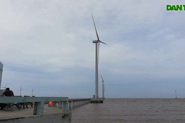 Cận cảnh "cánh đồng điện gió" Bạc Liêu