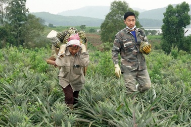 Người trồng quả nhiều mắt như "ngồi trên lửa" vì... xung đột tại Ukraine