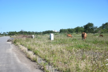 Đường "cụt", giá cao, 116 lô đất đưa ra đấu giá liên tục thất bại