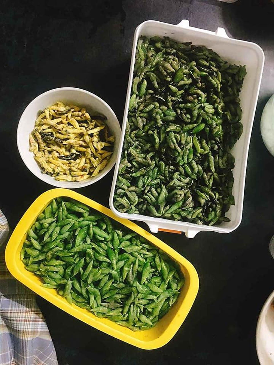 Loạt đặc sản con nhung nhúc, béo tròn, khách vừa ăn vừa sợ - 11