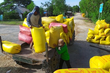 An Giang kêu khó cho doanh nghiệp khi “nghẽn” hơn 82.000 tấn gạo