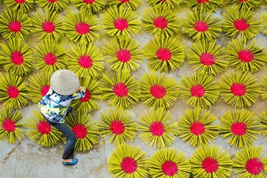 Nhang tẩm hóa chất có thể gây mù lòa