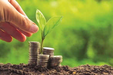 Mỏ vàng để ngân hàng phát triển bền vững: "Xanh hóa" tín dụng