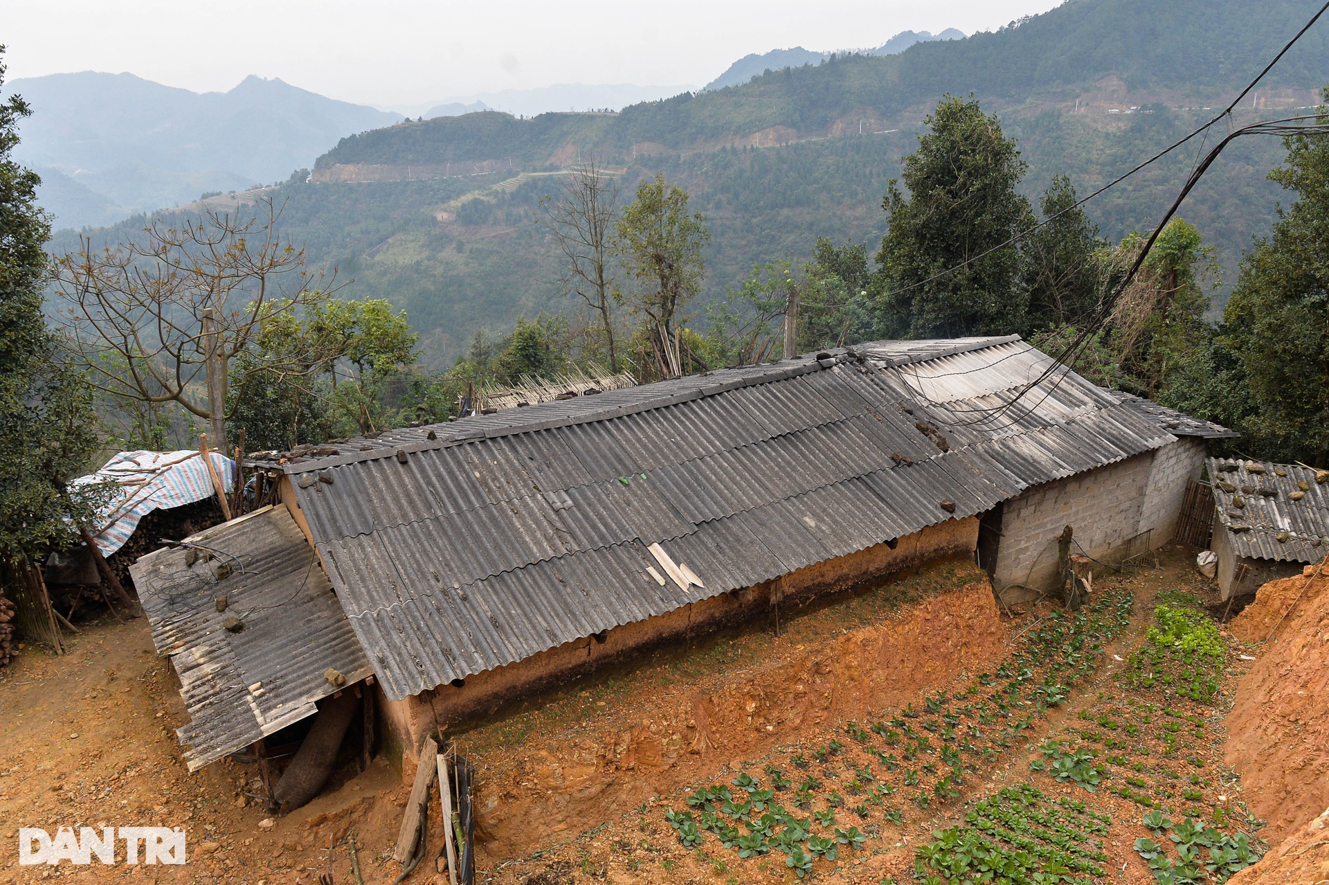 Life of people in Mau Son mountain area during bone-chilling cold days - 1