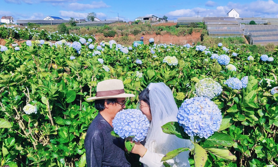 Điều cảm động sau bộ ảnh cưới đặc biệt của cặp đôi U70 ở Đà Lạt - 2 Điều cảm động sau bộ ảnh cưới đặc biệt của cặp đôi U70 ở Đà Lạt - 2