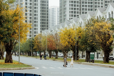 Khoảnh khắc Hà Nội cuối xuân đẹp tựa trời Âu tại "Quận Ocean"