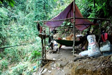 Giữa đêm, cướp tấn công “quặng tặc” tại bãi vàng