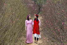 Năm mới, làm gì sẽ khiến bạn hạnh phúc hơn?