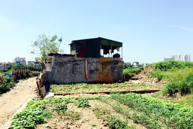 Hà Nội: Dân đua nhau xây nhà trái phép để chiếm đất