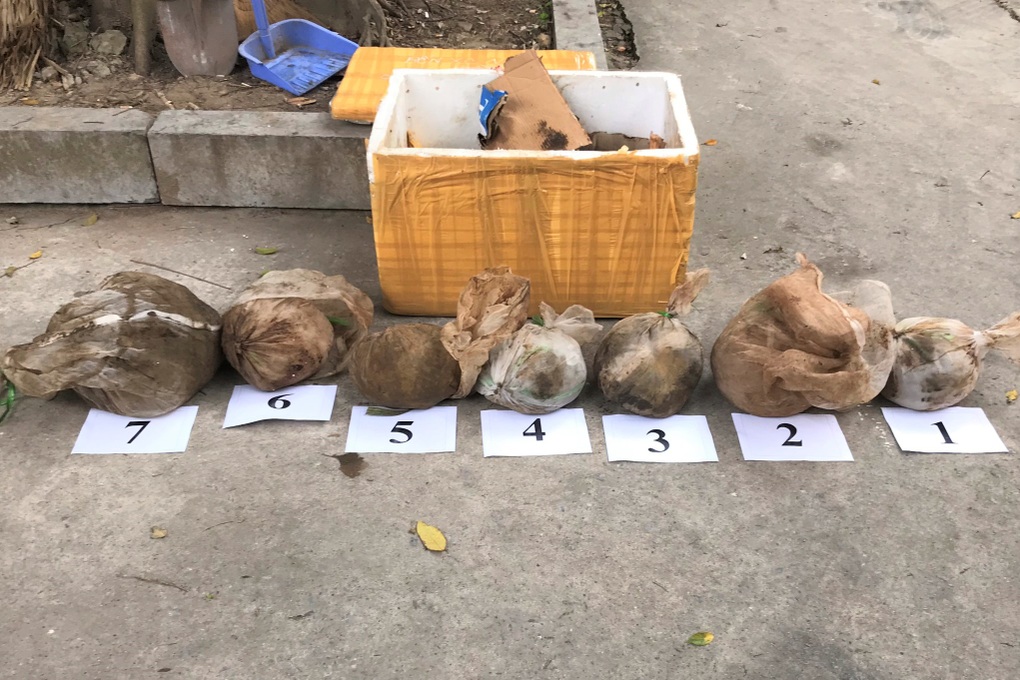 Kiểm tra xe khách phát hiện 7 cá thể tê tê trong thùng xốp - 1 Kiểm tra xe khách phát hiện 7 cá thể tê tê trong thùng xốp - 1