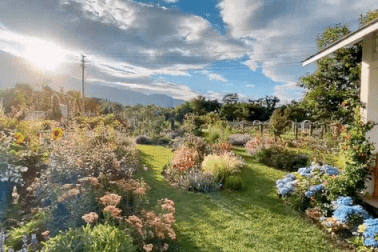 Cặp vợ chồng bán nhà thành phố, về ngoại ô làm vườn trồng 2.000 loài hoa