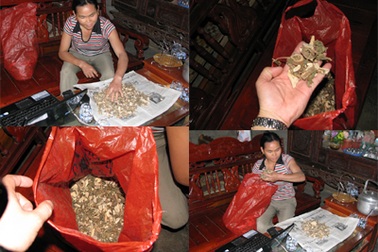 Thực hư phương thuốc cai nghiện “thần diệu” vùng sơn cước