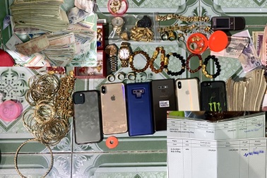 Băng trộm đi xe đạp, trèo nhà dân đánh cắp tài sản tiền tỷ