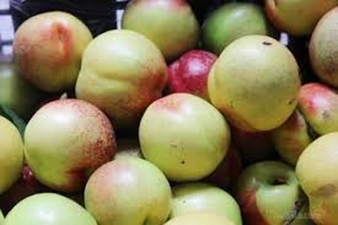 Đào Trung Quốc “đội lốt” đào Sapa ồ ạt xuống phố Hà Nội