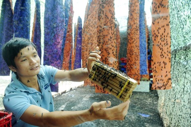 Kỹ sư bỏ việc về quê nuôi ruồi, thu nhập hàng chục triệu đồng mỗi tháng